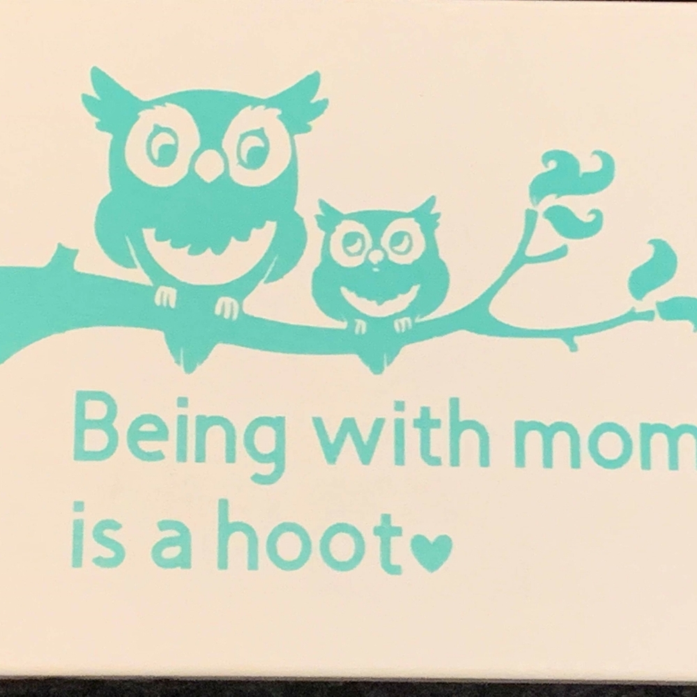 20x10 nursery or toddler room canvas patient blue